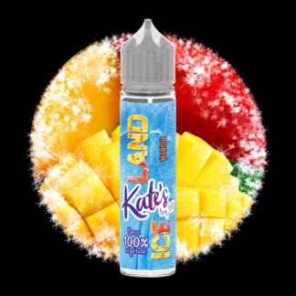 Vaping in Paris - KAT'S - MANGUE